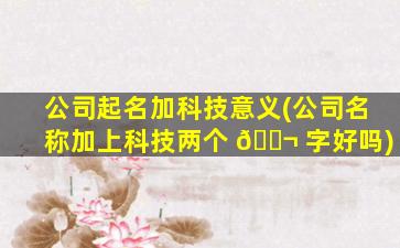 公司起名加科技意义(公司名称加上科技两个 🐬 字好吗)